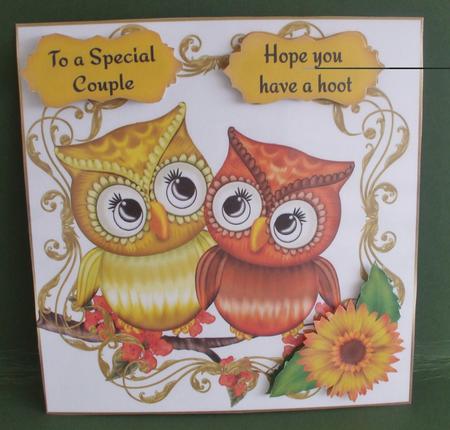 Golden Owls on White by Christine Young