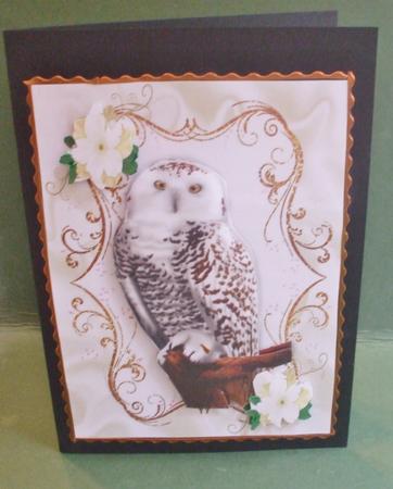 Beautiful Owl on a Branch with Flowers A4 by Christine Young