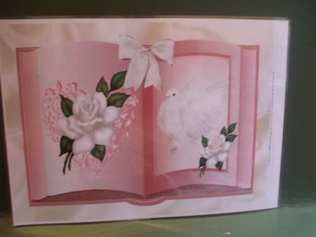 White Dove and White Roses Open Book A4 by Christine Young