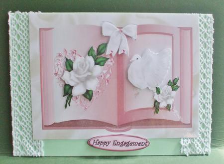 White Dove and White Roses Open Book A4 by Christine Young