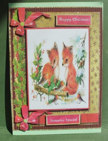 Beautiful Foxes with the Robins by Christine Young