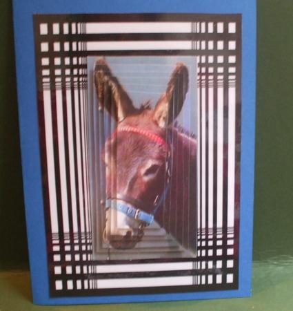 Donkey by Christine Young