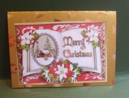 A4 Beautiful Christmas Book and Poinsettias by Christine Young