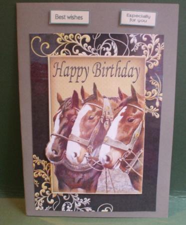Horses in Gold/black Ornate Frame A4 by Christine Young