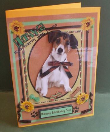 Lovely Proud Jack Russell Dog by Christine Young