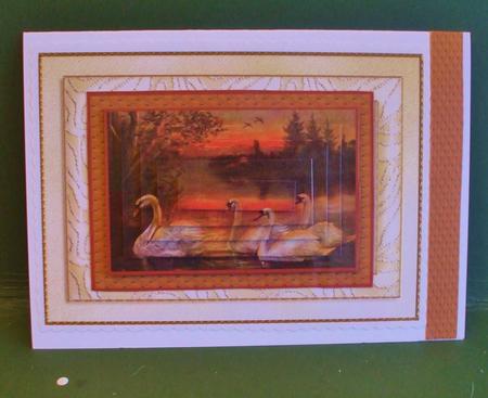 Swans at Sunset Pyramage by Christine Young