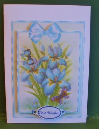 Beautiful Iris with Butterflys by Christine Young
