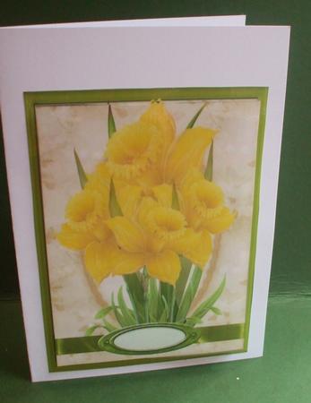 Beautiful Daffodils Standing Proud by Christine Young