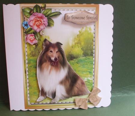 Beautiful Old English Sheep Dog  by Christine Young