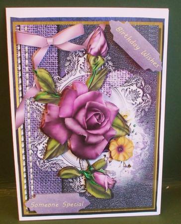 Beautiful Lilac Roses on Book Cover  by Christine Young