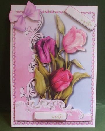 Beautiful Tulips in a Scroll Frame . by Christine Young