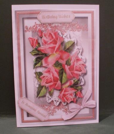 Beautiful Salmon Pink Roses in a Silver Frame  by Christine Young