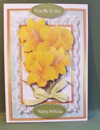Beautiful Daffodils in Full Bloom  by Christine Young