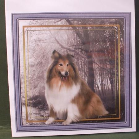 Dog Toppers and Sentiment Tags by Christine Young