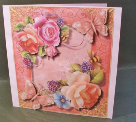8x8 App Beautiful English Garden Roses by Christine Young