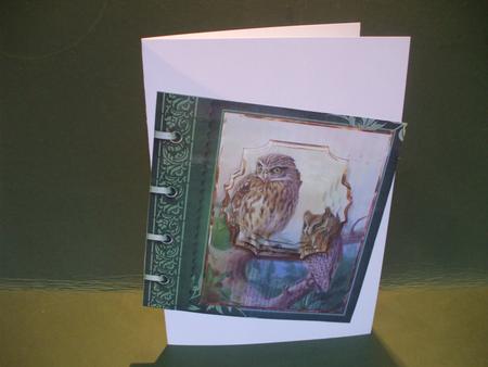 Two Owls Card with Shaped Layers by Christine Young