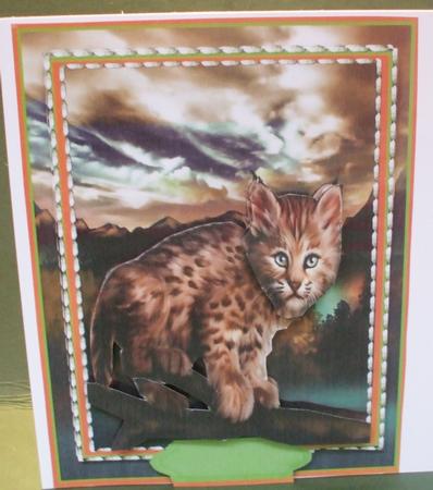 Beautiful Wild Cat Kitten  by Christine Young