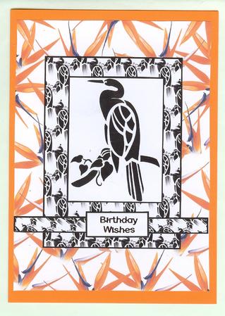 Black and White Bird by Christine Dixon