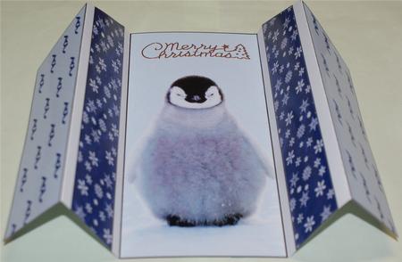 Penguin Theatre Fold by Christine Dixon