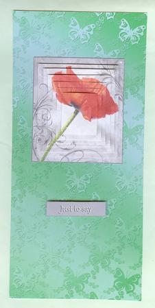 Red Poppy on Grey Swirl Pyramid Layers by Christine Dixon