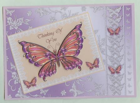 Amber Butterfly on Lace by Christine Dixon