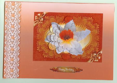 Flaming Daffodil with Flower Shaped Pyramage by Christine Dixon