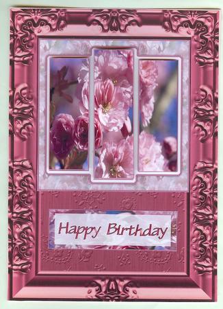 6x6" Japanese Flowering Cherry Panel Card by Christine Dixon