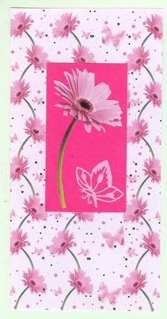 Pink Gerbera & Butterfly Wishes on Pink Backing Paper by Christine Dixon