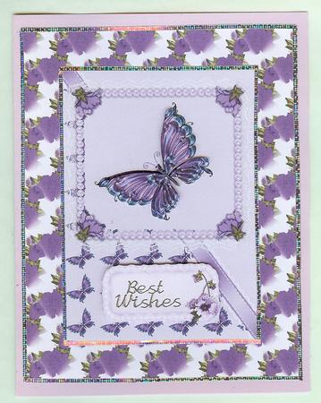 Beautiful Purple Butterfly by Christine Dixon