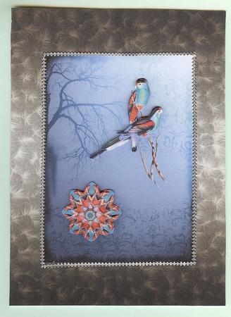Shaded Backgrounds - Frosty Fingers - Earth by Christine Dixon