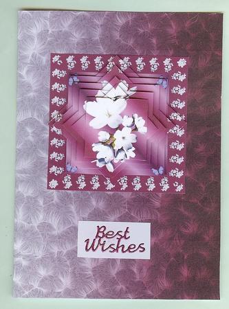 Shaded Backgrounds - Frosty Fingers - Damson by Christine Dixon