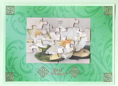 Water Lily Jigsaw Puzzle Card Front by Christine Dixon