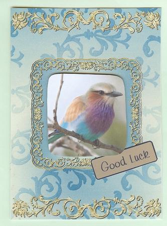 Gilding and Swirls in Turquoise by Christine Dixon