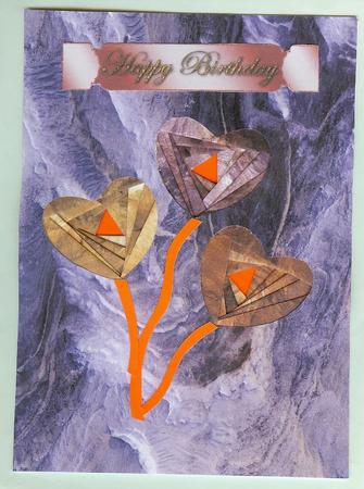 Nasa 1, Canyon Paper Pack by Christine Dixon