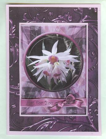 Orchid B - with Love by Christine Dixon