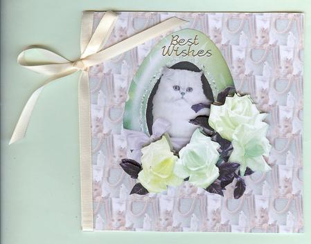 Cat-bag Vellum by Christine Dixon