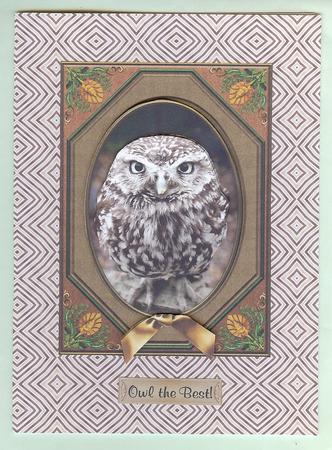 Owl Eyes on You - Decoupage Card by Christine Dixon