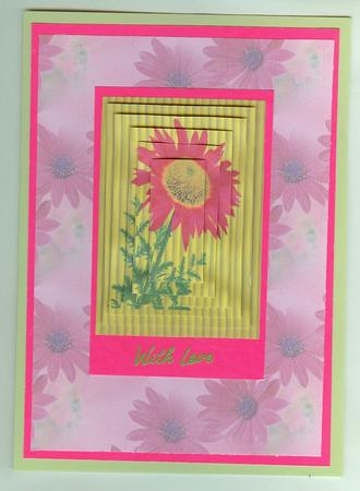 Pink Florals Vellum by Christine Dixon