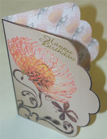 Scabiosa or Pin Cushion Flower Cu4cu Image by Christine Dixon