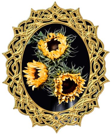 Ornate Frames Collection by Christine Dixon
