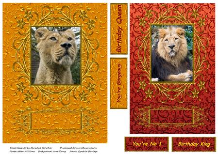 Lion & Lioness Images Cu4cu by Christine Dixon