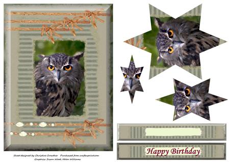Owl Trio Cu4cu Images by Christine Dixon