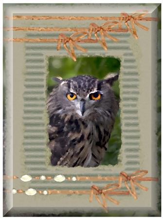 Country Chickens Embellishment Pack by Christine Dixon