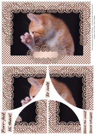 Talk to the Paw Kitten Image by Christine Dixon