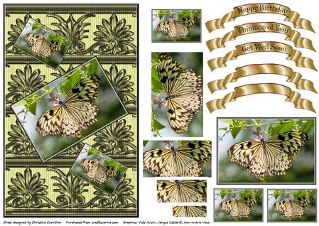 Rice Paper Butterfly by Christine Dixon