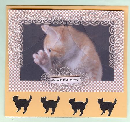 Checks Backing Papers Kit by Christine Dixon