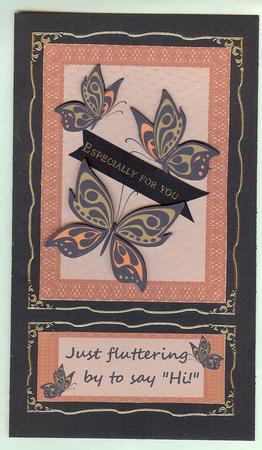 Butterflies Doodles by Christine Dixon