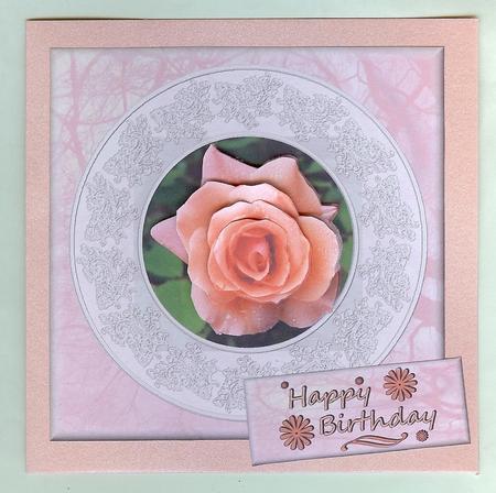 3 Way Pink Rose by Christine Dixon