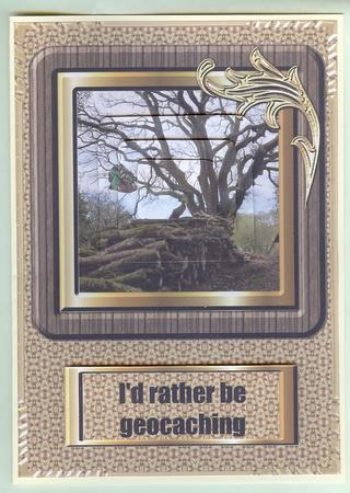 Square Wooden and Gold Flourish Frames by Christine Dixon
