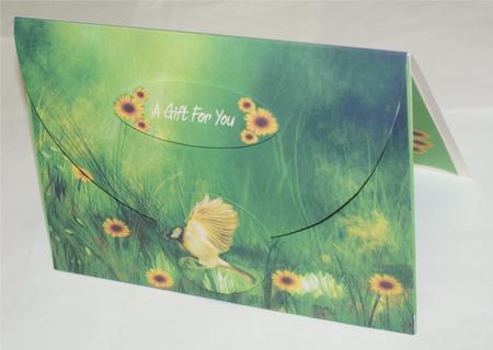 Green Lily Pond A5 Gift Envelope Card Kit by Christine Dixon